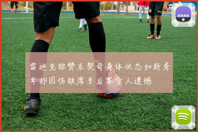 雷迪克称赞东契奇身体状态如新秀年却因伤缺席季后赛令人遗憾