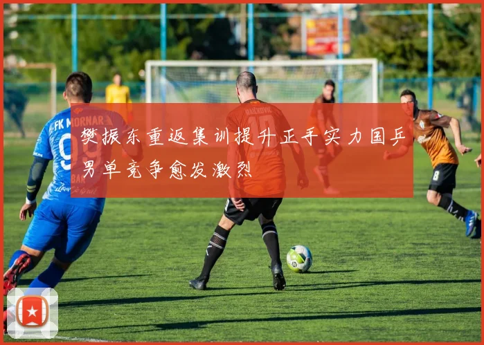 樊振东重返集训提升正手实力国乒男单竞争愈发激烈