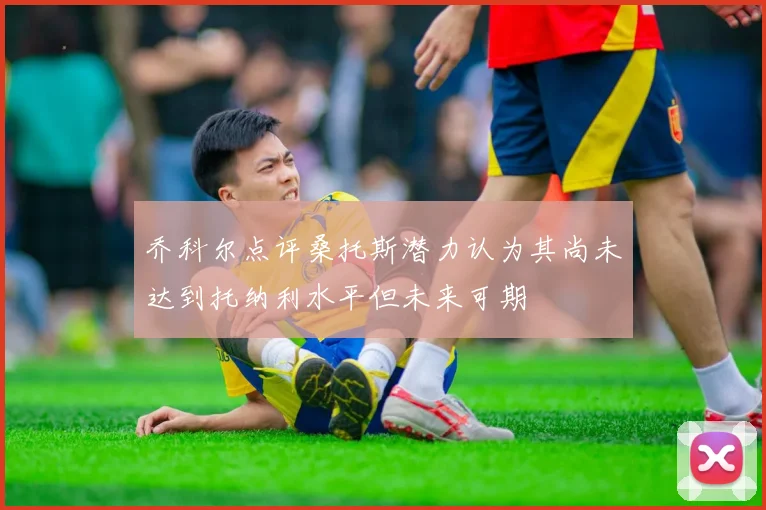 乔科尔点评桑托斯潜力认为其尚未达到托纳利水平但未来可期